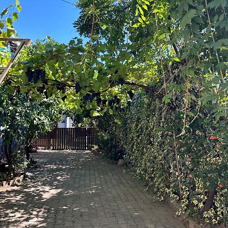 Downtown Guest House Kutaisi Ngoại thất bức ảnh