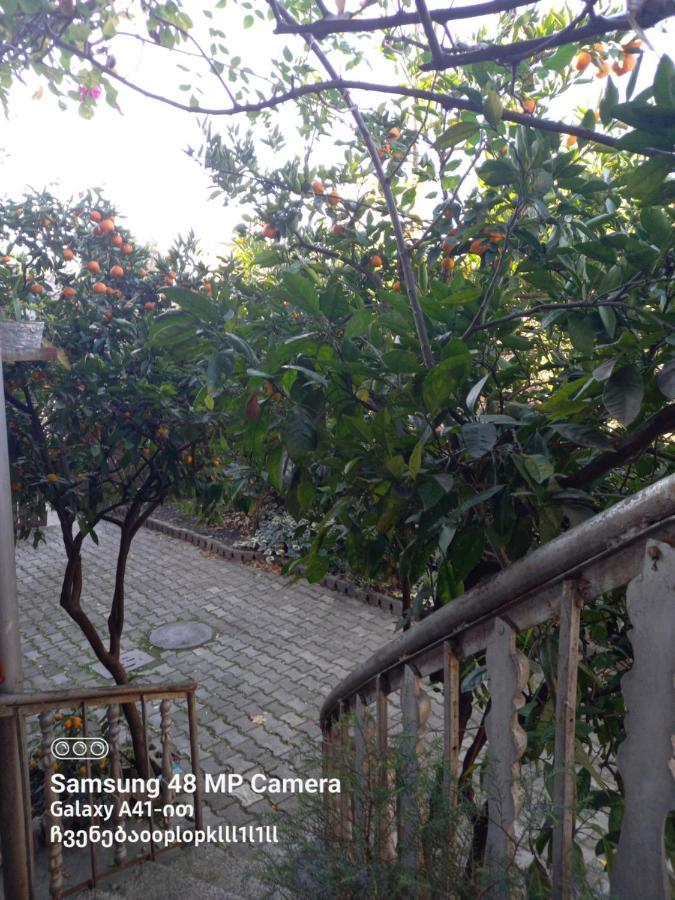 Downtown Guest House Kutaisi Ngoại thất bức ảnh
