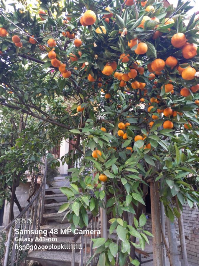 Downtown Guest House Kutaisi Ngoại thất bức ảnh