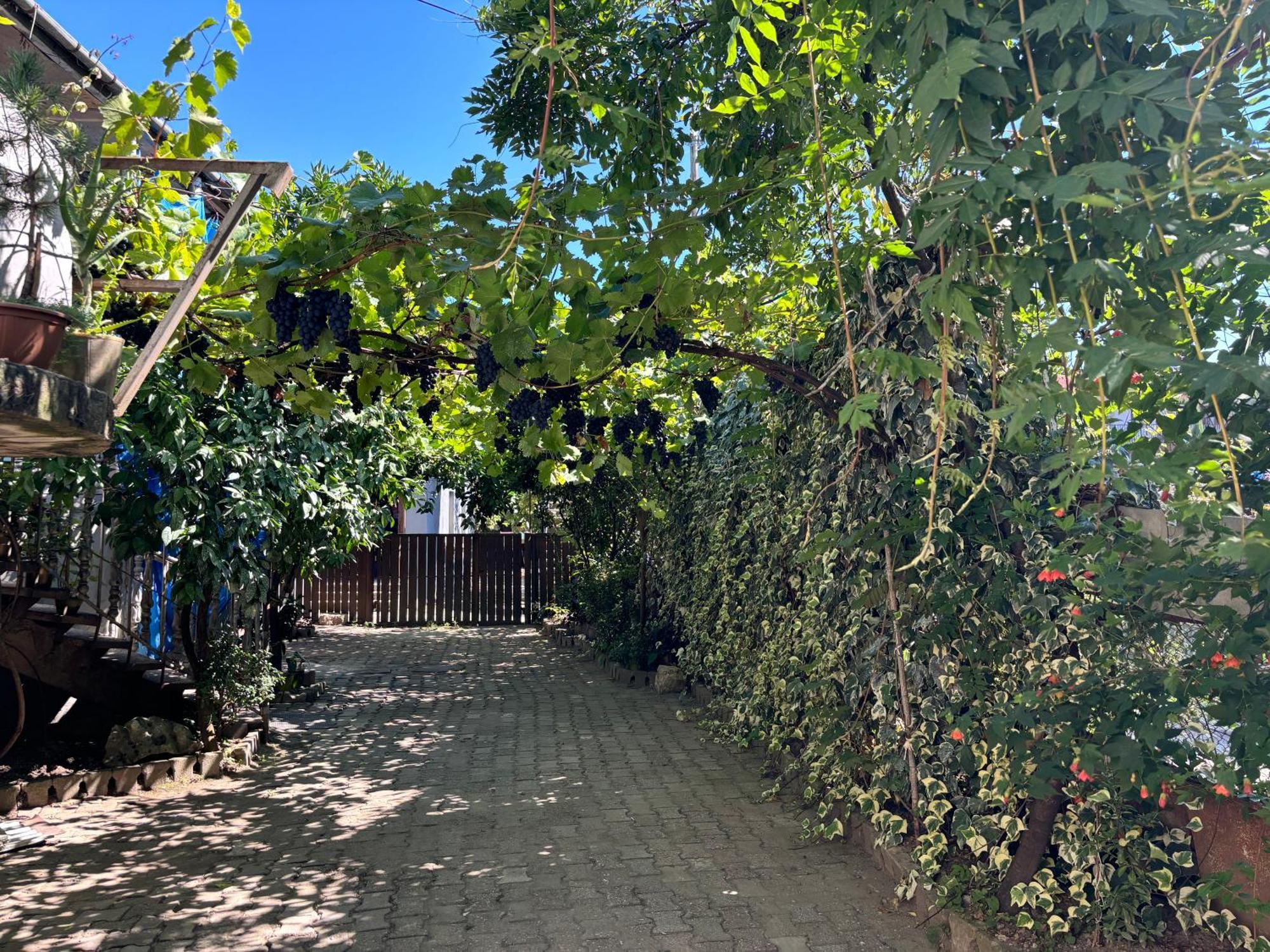 Downtown Guest House Kutaisi Ngoại thất bức ảnh