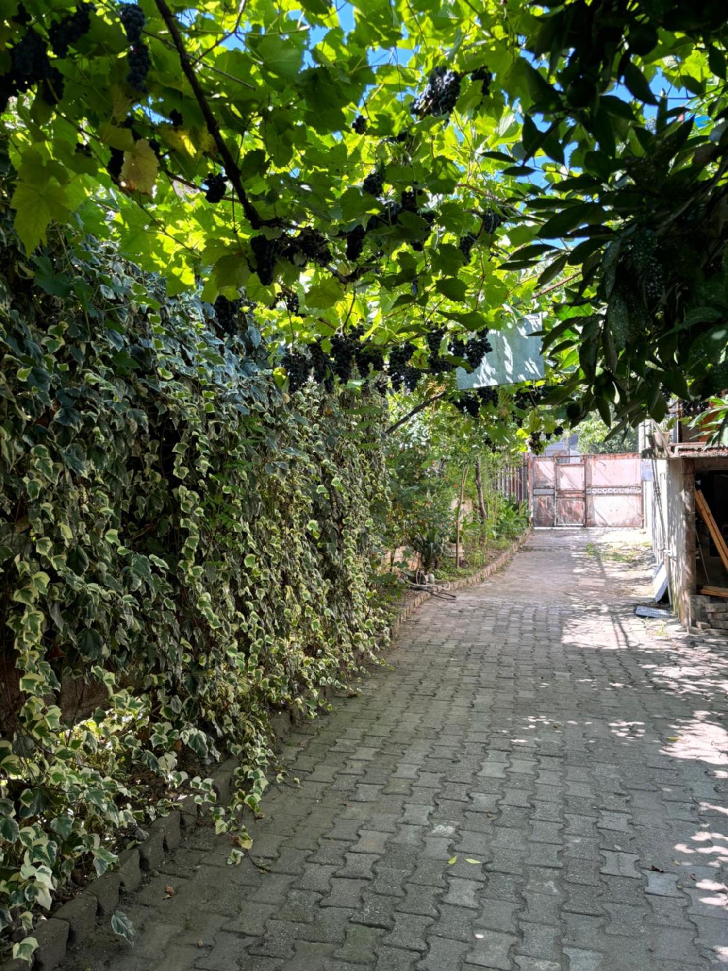 Downtown Guest House Kutaisi Ngoại thất bức ảnh