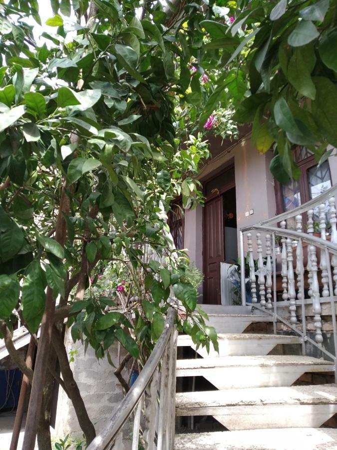 Downtown Guest House Kutaisi Ngoại thất bức ảnh