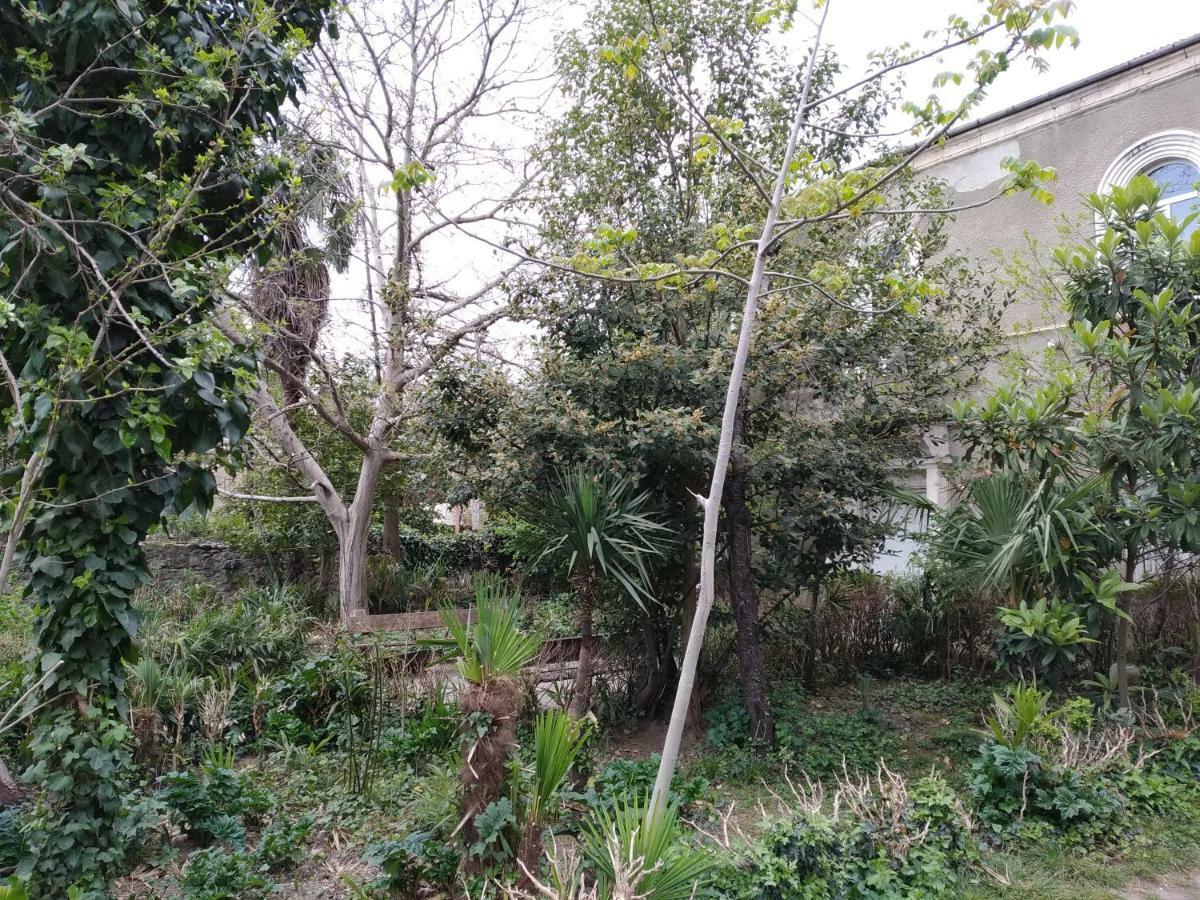 Downtown Guest House Kutaisi Ngoại thất bức ảnh