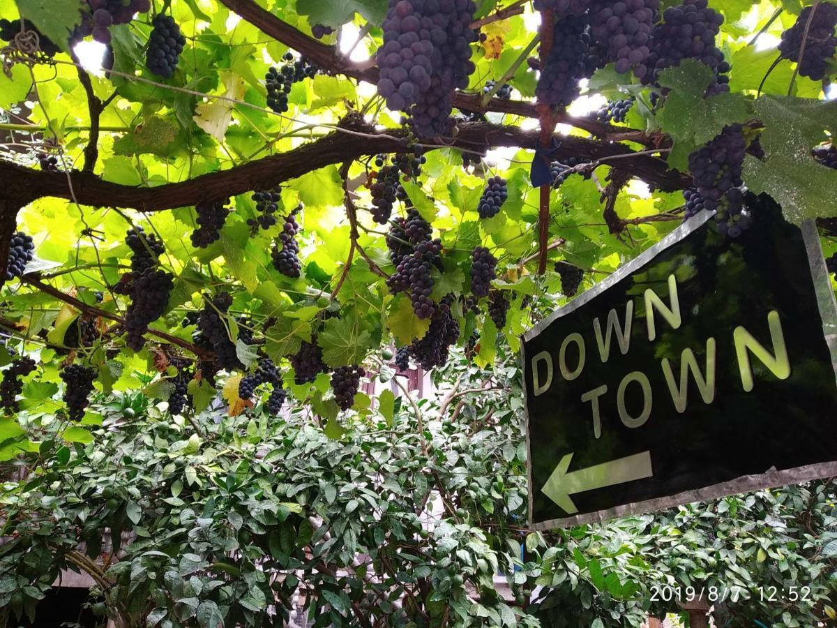Downtown Guest House Kutaisi Ngoại thất bức ảnh